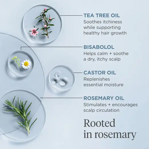 Scalp Revival™ Rosemary Pre-wash Oil ( gevoelige huid) - Afbeelding 3